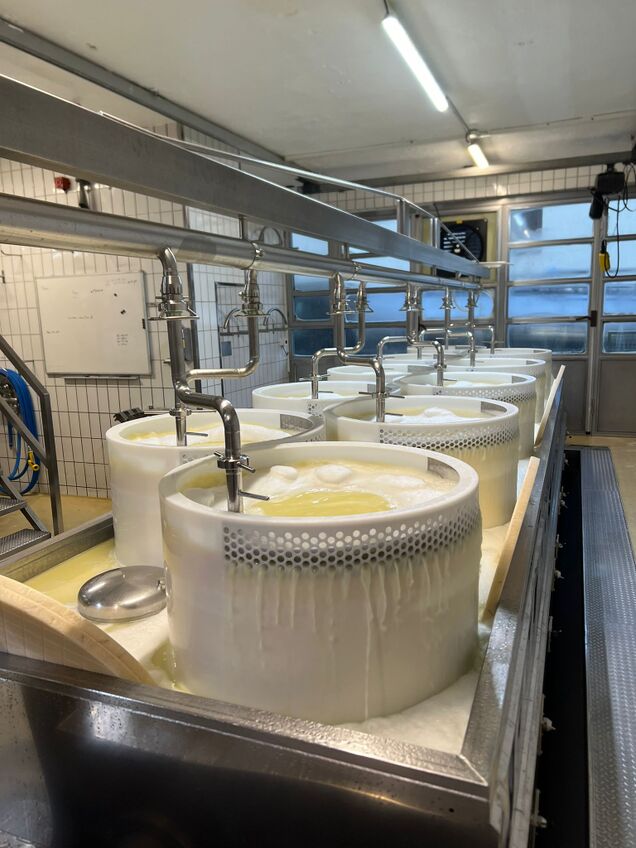 Dupplex Presse für Emmentaler