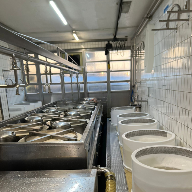 Dupplex Presse für Emmentaler